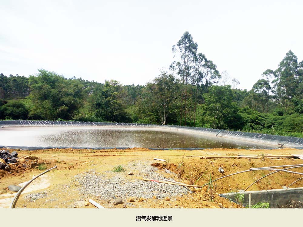 沼氣池近景.jpg 沼氣池近景.jpg